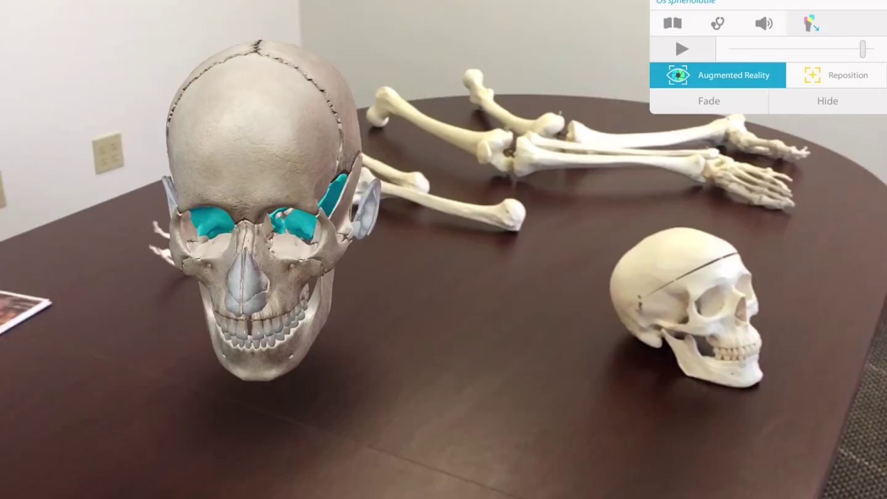 Augmented Reality in Human Anatomy Atlas 2018 for Mobile | Visible Body