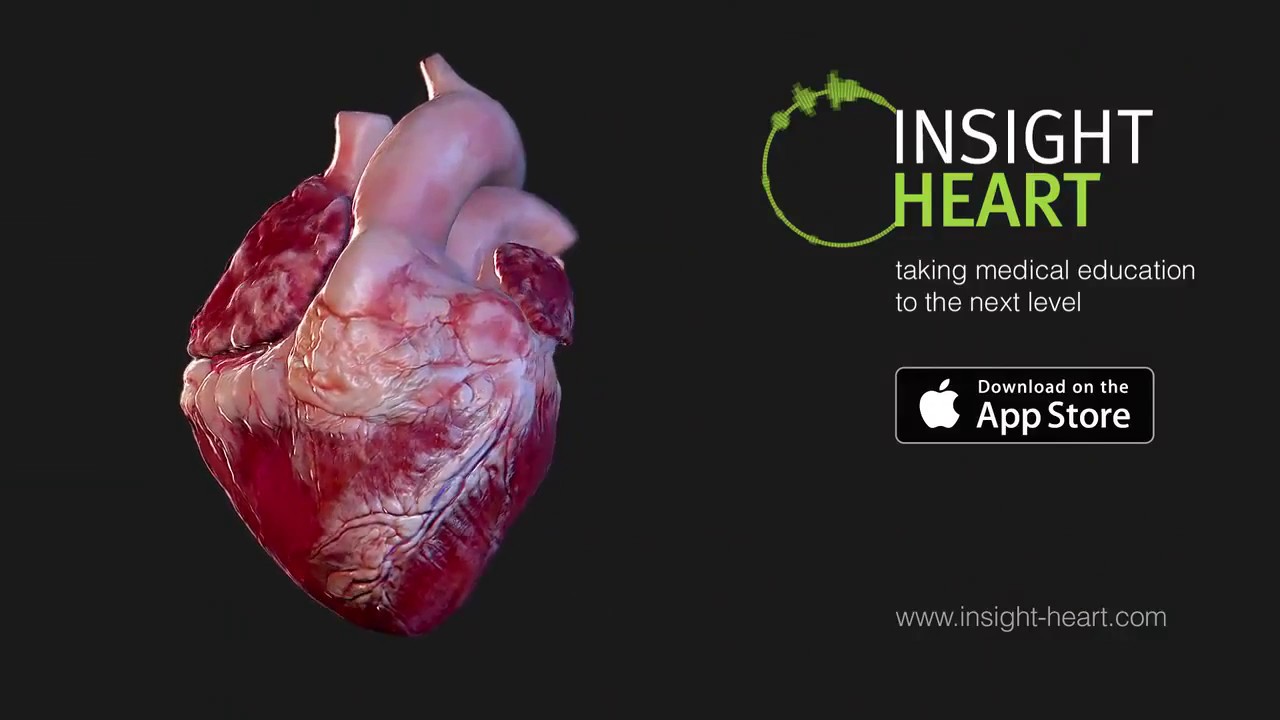 iPhone X | Insight Heart | App Store | Augmented Reality