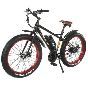 Onway Snow and Mountain Electric Bikes