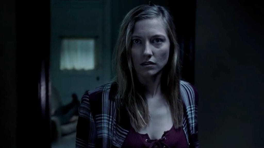 The Insidious Movie Series